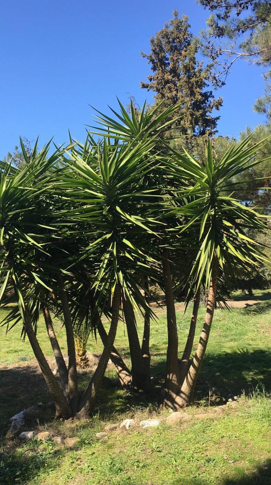 Casa Natura Amolianí Luaran gambar