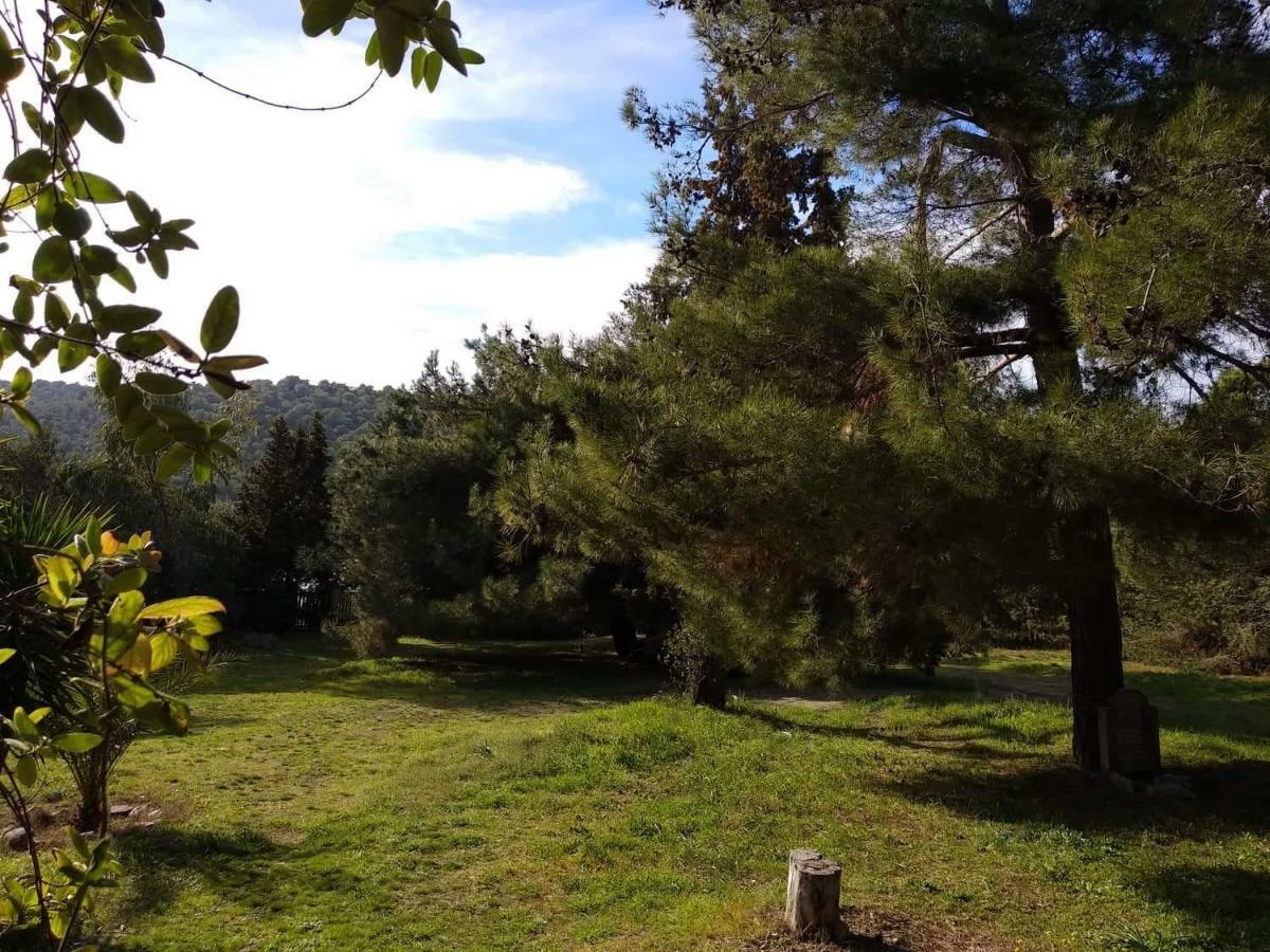 Casa Natura Amolianí Luaran gambar