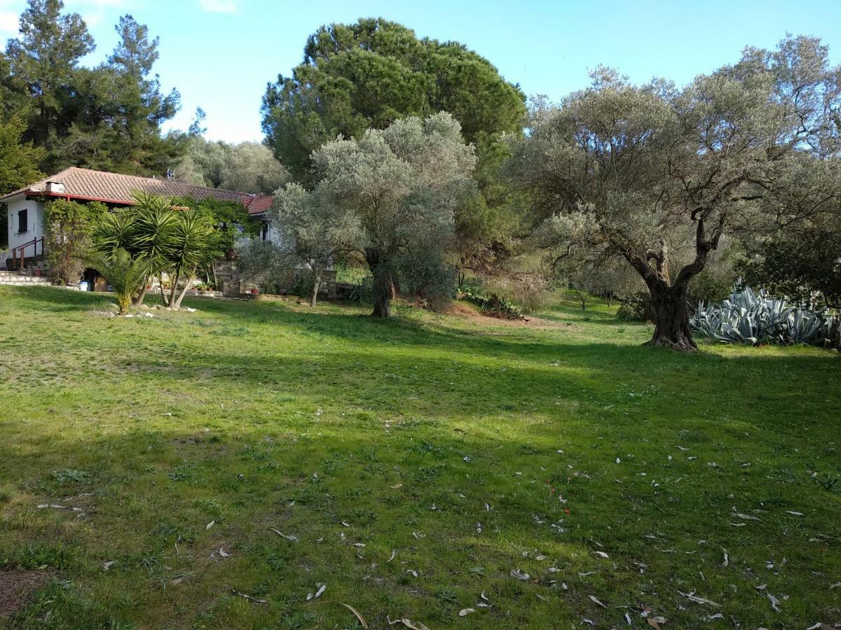 Casa Natura Amolianí Luaran gambar